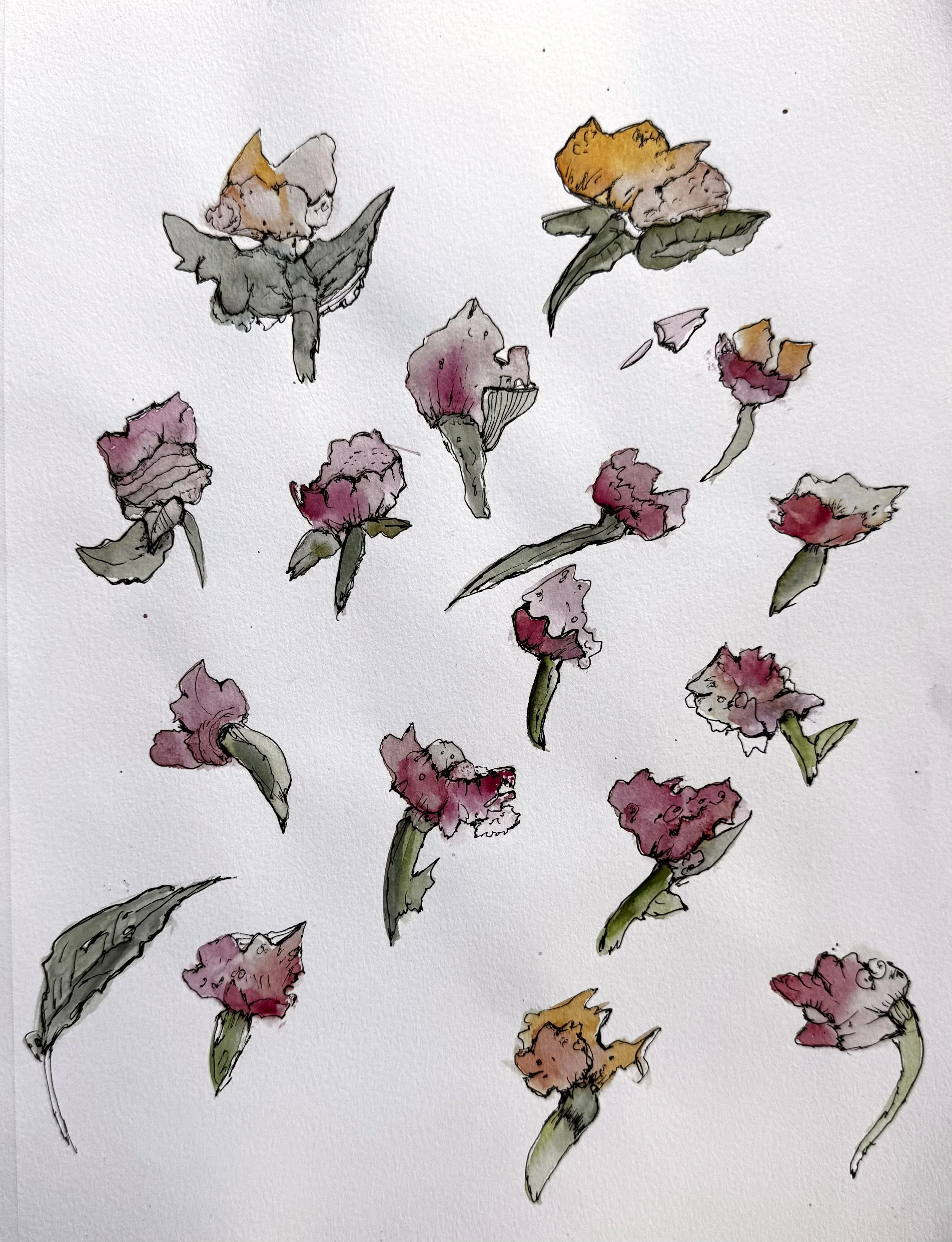 pink flowers.jpg