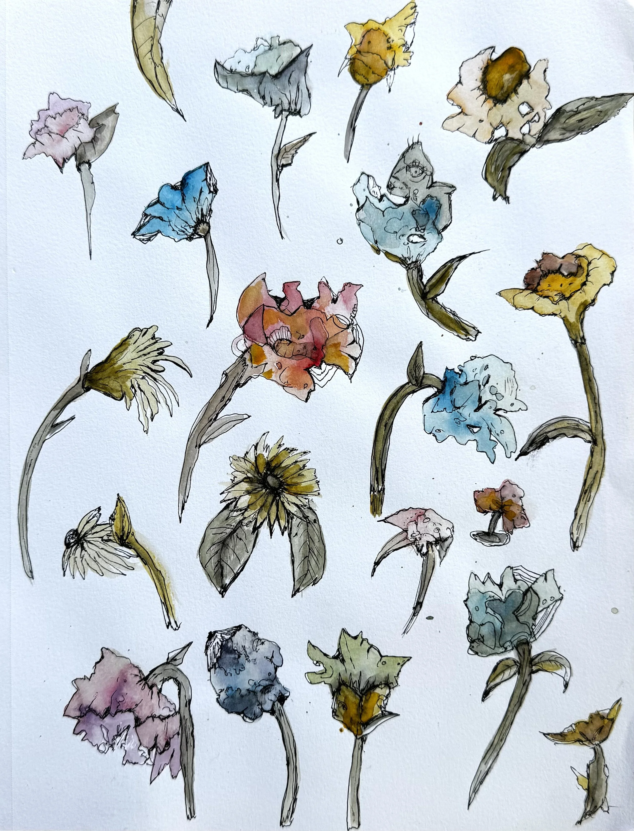 a variety of flowers.jpg