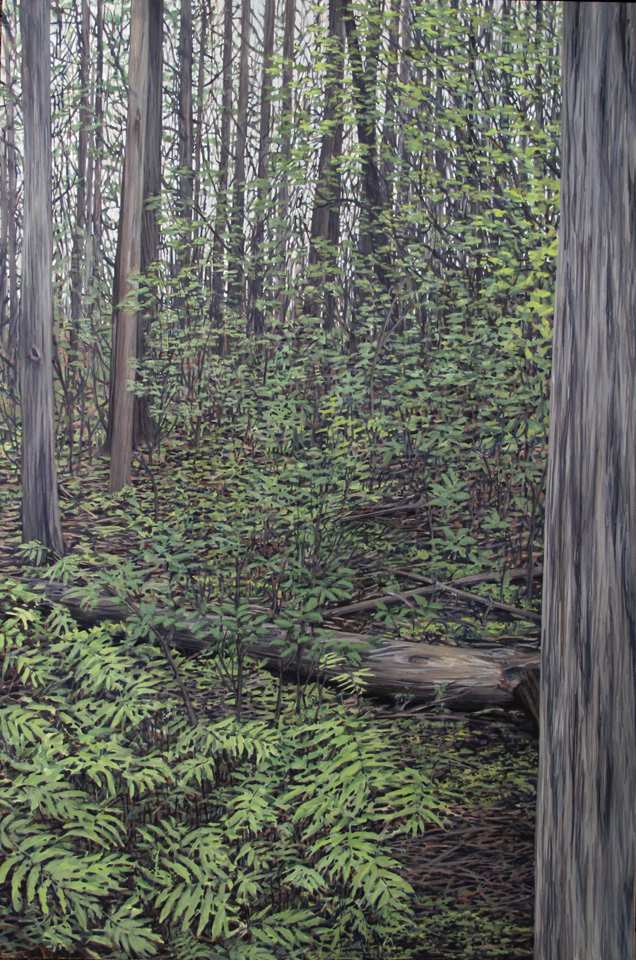 Passage: Cedar Swamp Trail, 2015 (sold)