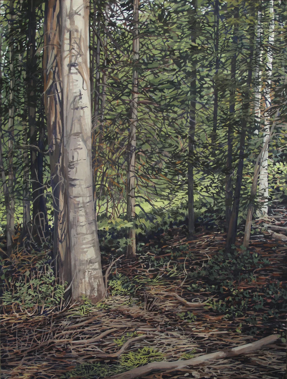 Passage: Mill Creek Canyon