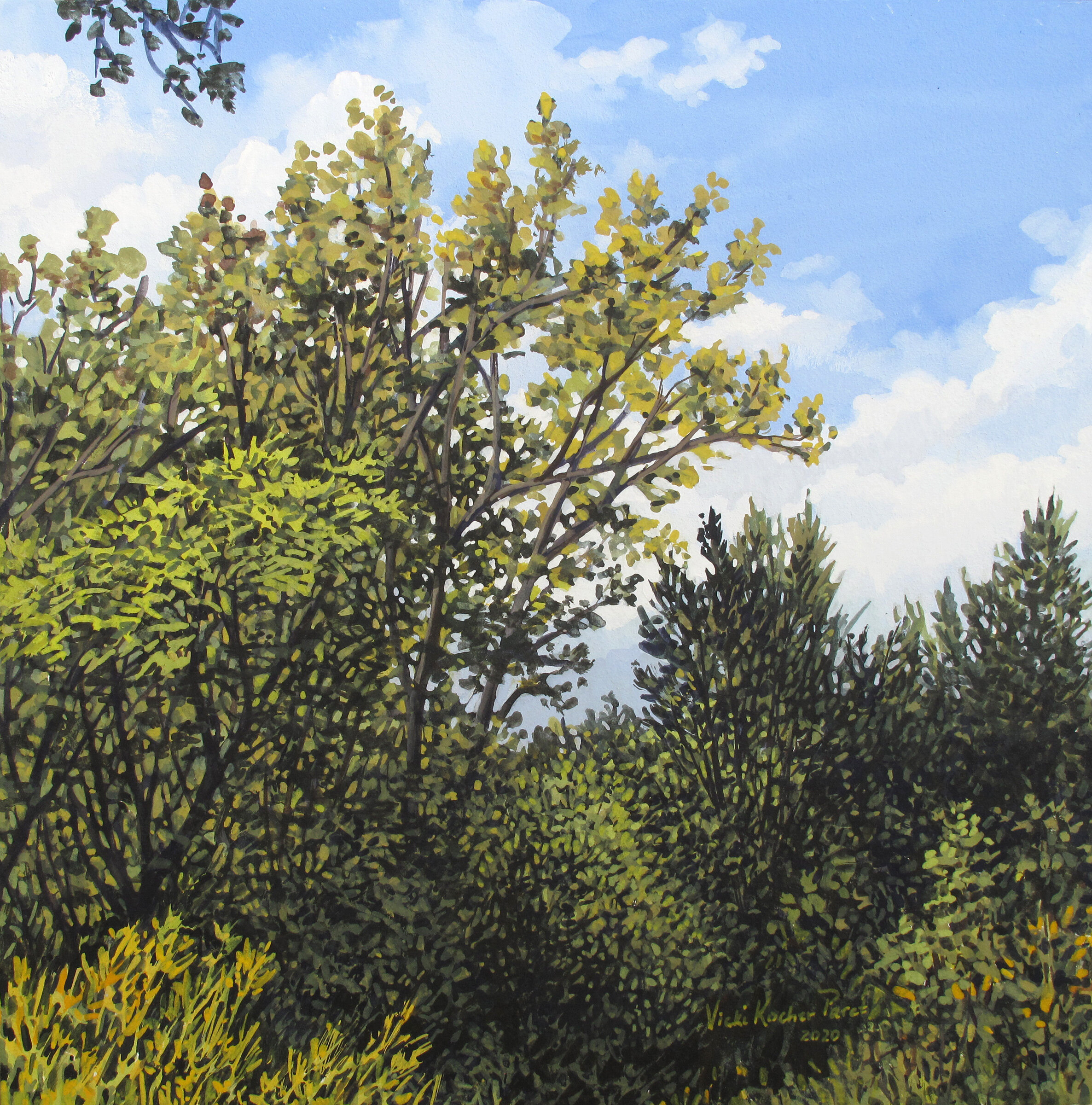 Looking Up (Fresh Pond), 2020 (sold)