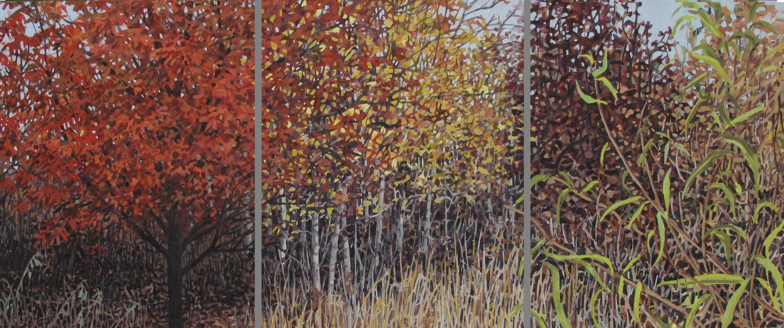 Red, Yellow, Green At Alewife Reservation
