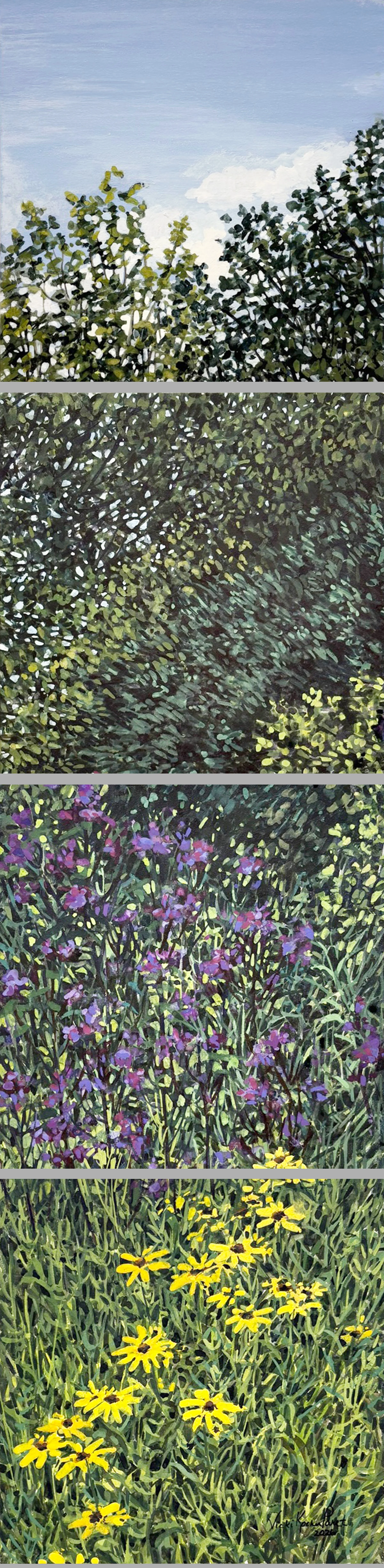 Blue, Green, Purple, Yellow At Alewife Reservation