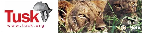 Tusk's approach to conservation recognises that the long term future for wildlife and Africa's other natural resources is dependant on sustainable rural development. more... Tusk believes that if conservation is to succeed and environmental degradation to be reversed then education needs to be promoted at an early age.