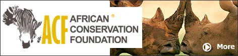 African-Conservation-Foundation.jpg