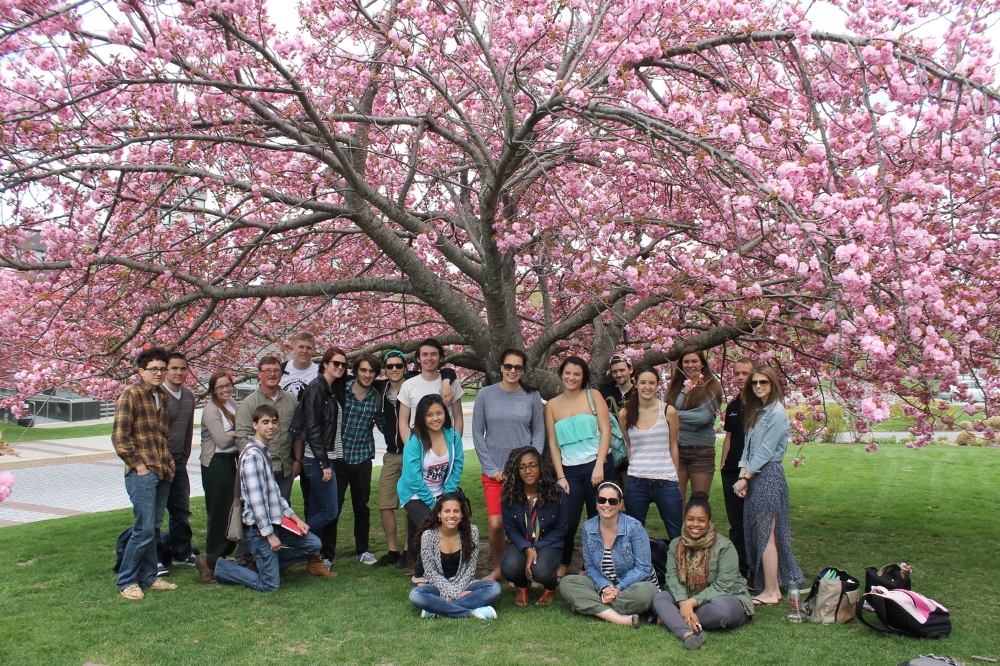 Environmental Humanities students enjoying a final session, reading and writing haiku, under Stony Brook's cherry blossoms