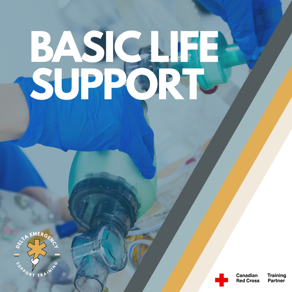 Register for our Online and Private Group courses — Delta Emergency ...