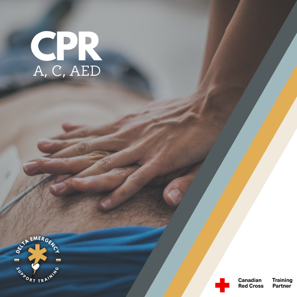 Red Cross CPR + AED Training: Hands-On Demonstration of Chest Compressions, AED, Rescue Breaths