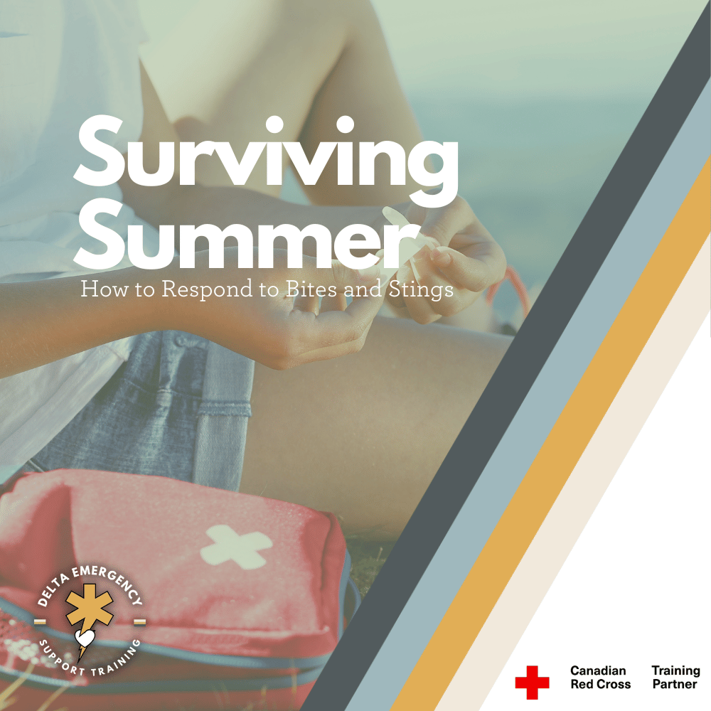 Surviving Summer: How to Respond to Insect Bites and Stings