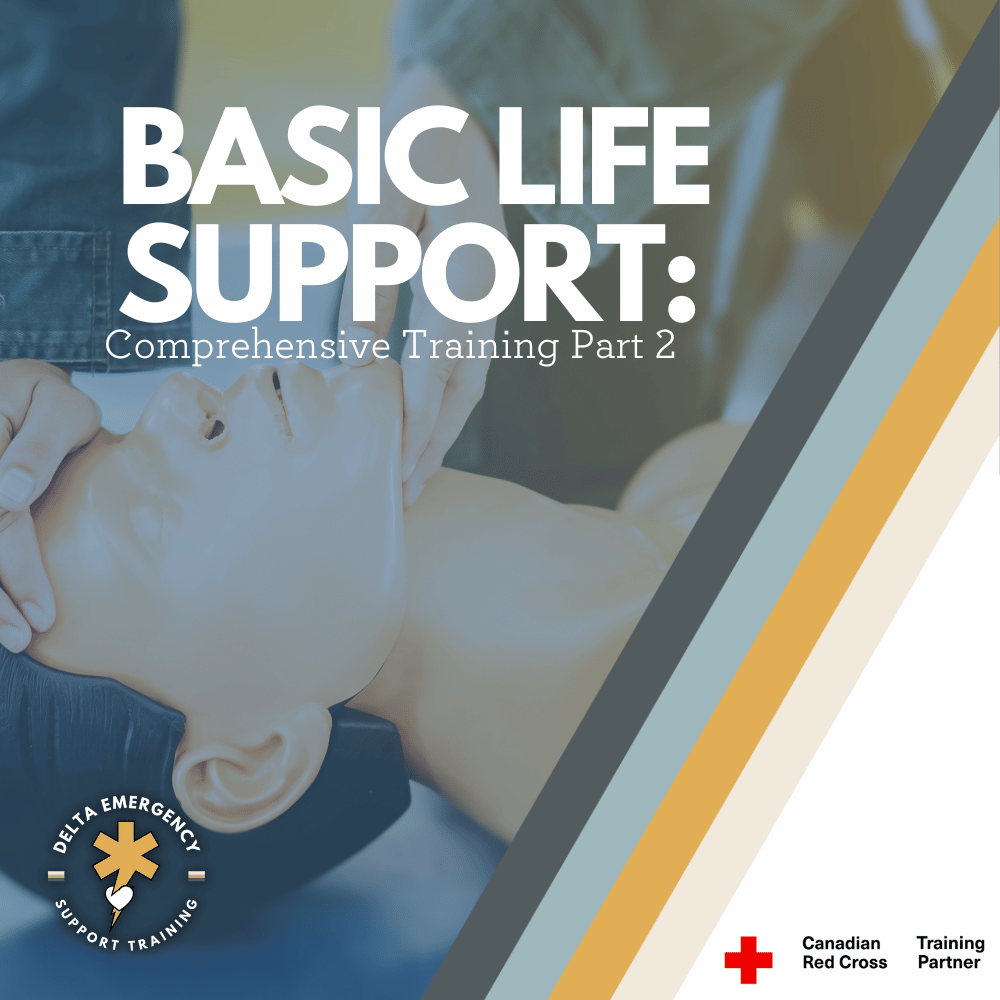 Basic Life Support Training Series: Part 2