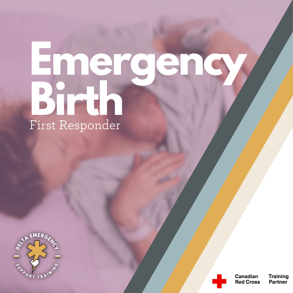 Emergency Birth as a First Responder: Postpartum Care