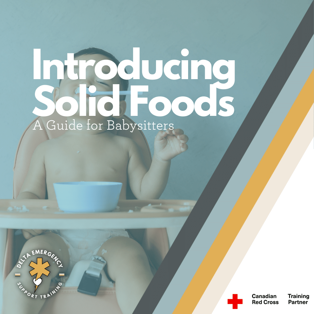 Introducing Solid Foods: A Guide for Babies Under One Year Old