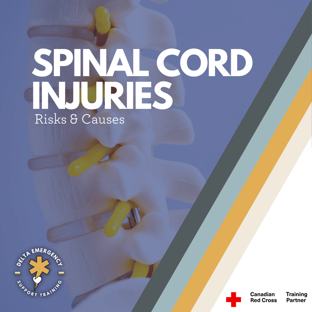 Spinal Cord Injuries: Risks, Causes, and Implications