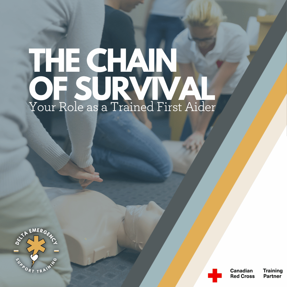 The Chain of Survival: Your Role as a Trained First Aider