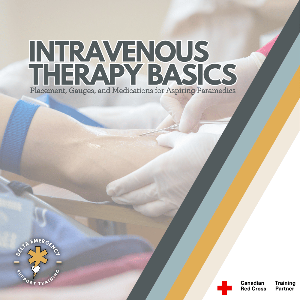 Intravenous Therapy for Beginners: Placement, Gauges &amp; Medications