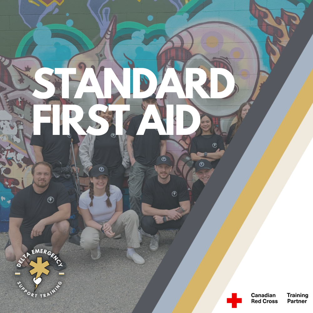 Standard First Aid  (Blended)