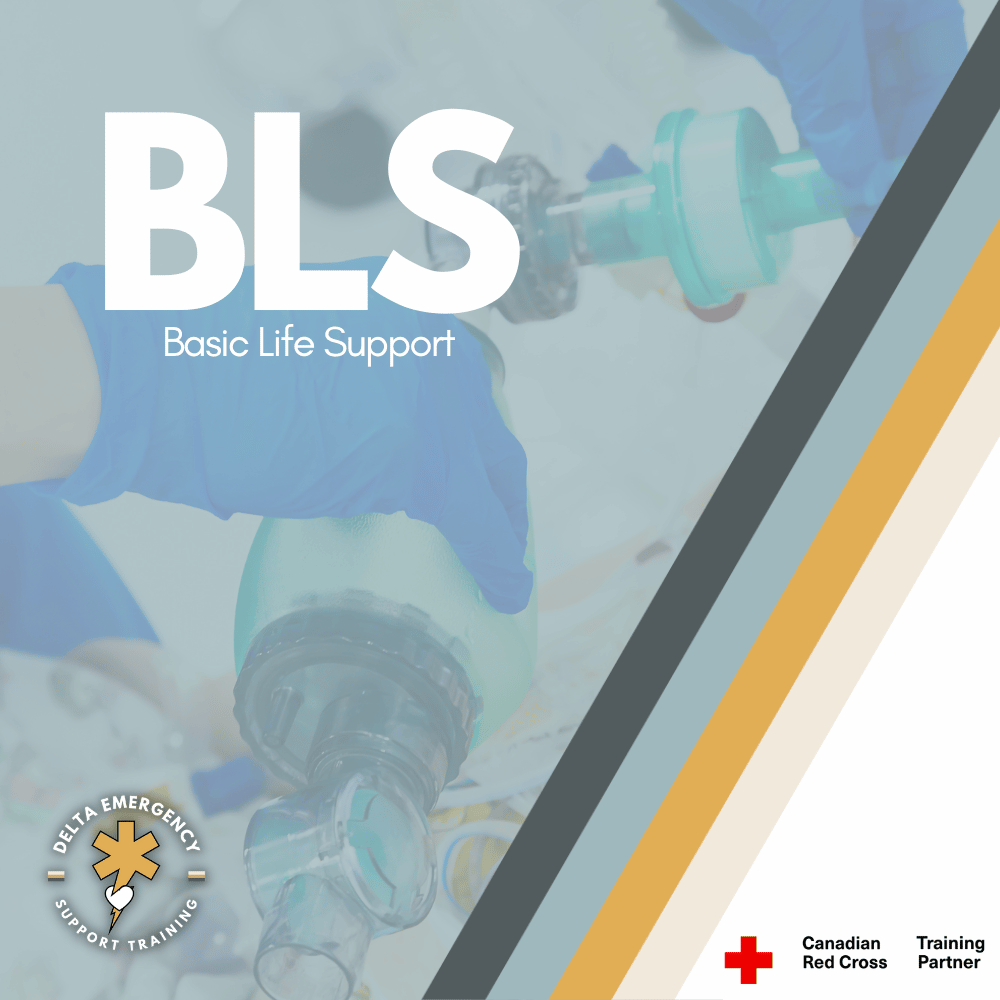 Basic Life Support CPR.png