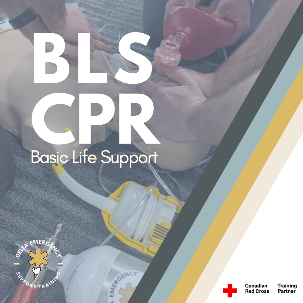 BLS CPR BASIC LIFE SUPPORT.png