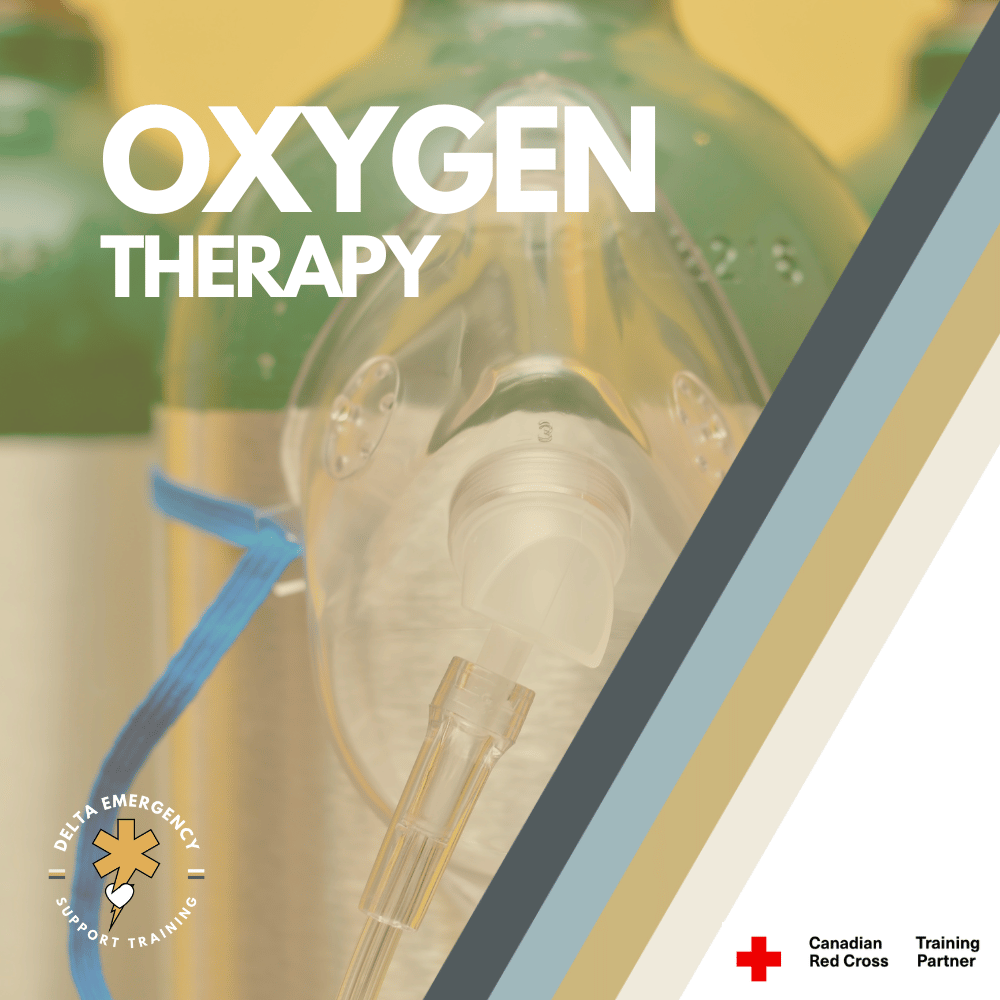 Oxygen Therapy equipment such as Oxygen Tank, NRB, Nasal Cannula, BVM, for Dentists and Physiotherapists