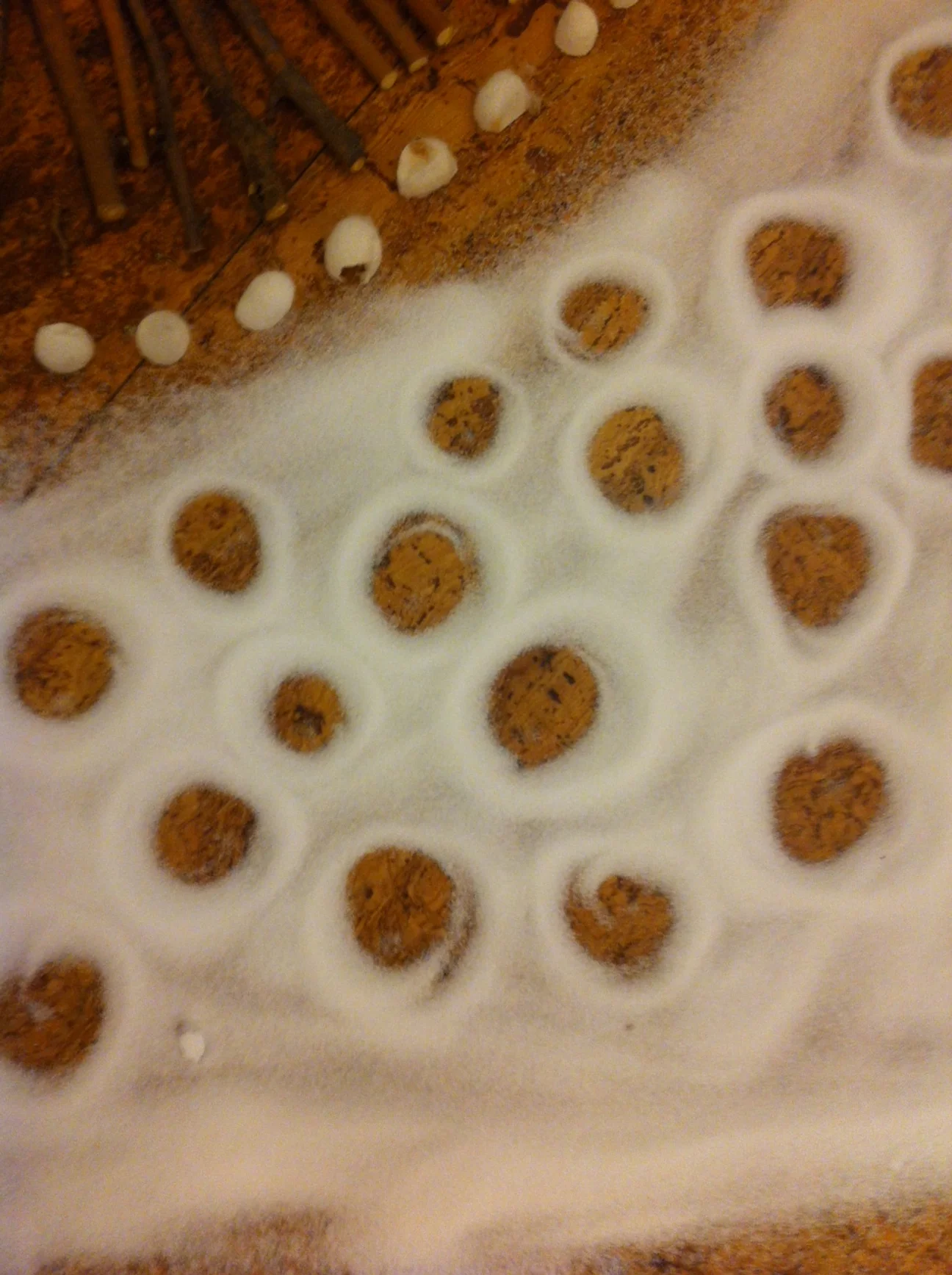 photo 3-3 copy 8.JPG