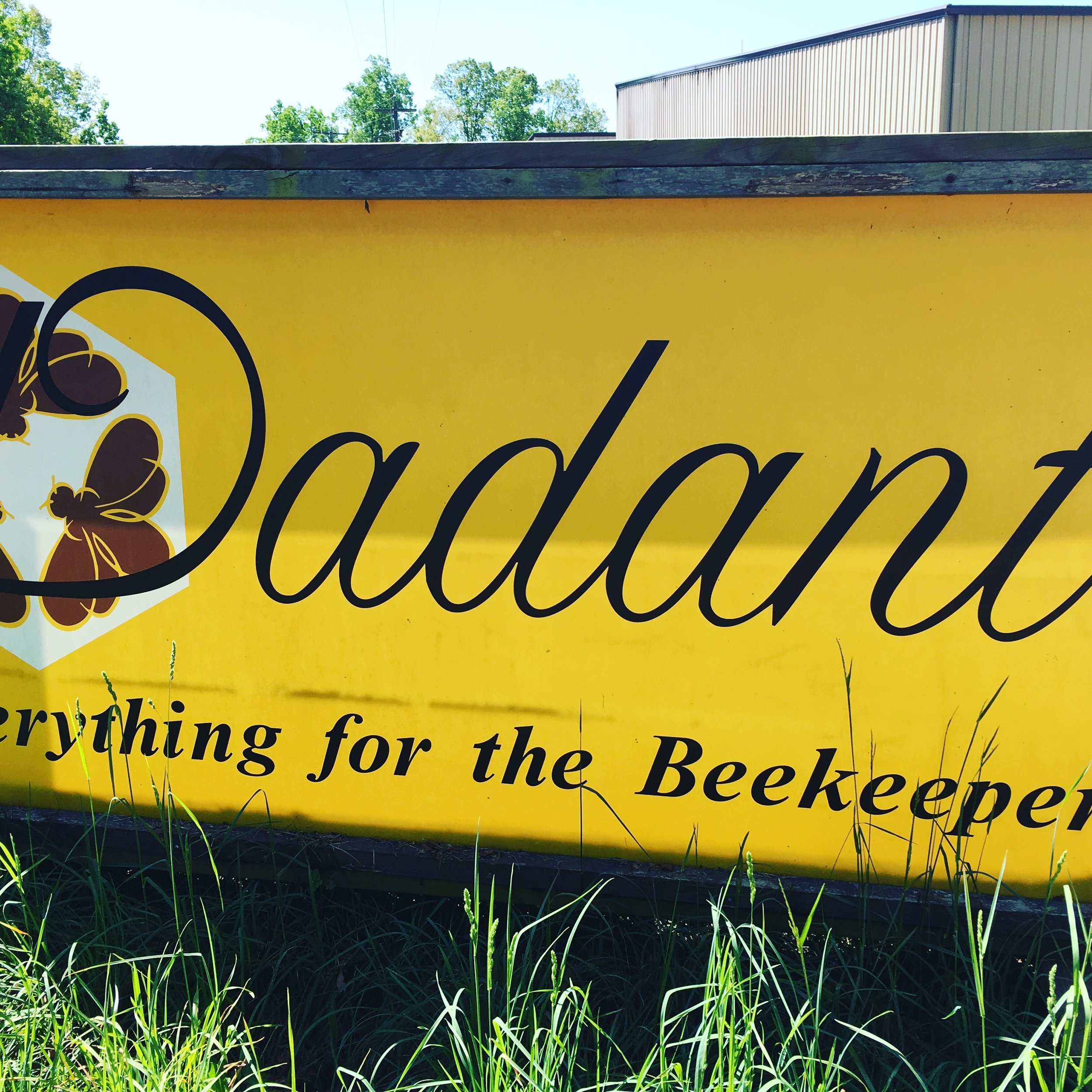 Dadant provided hives for exhibition and helped connect us to the local beekeeping community.