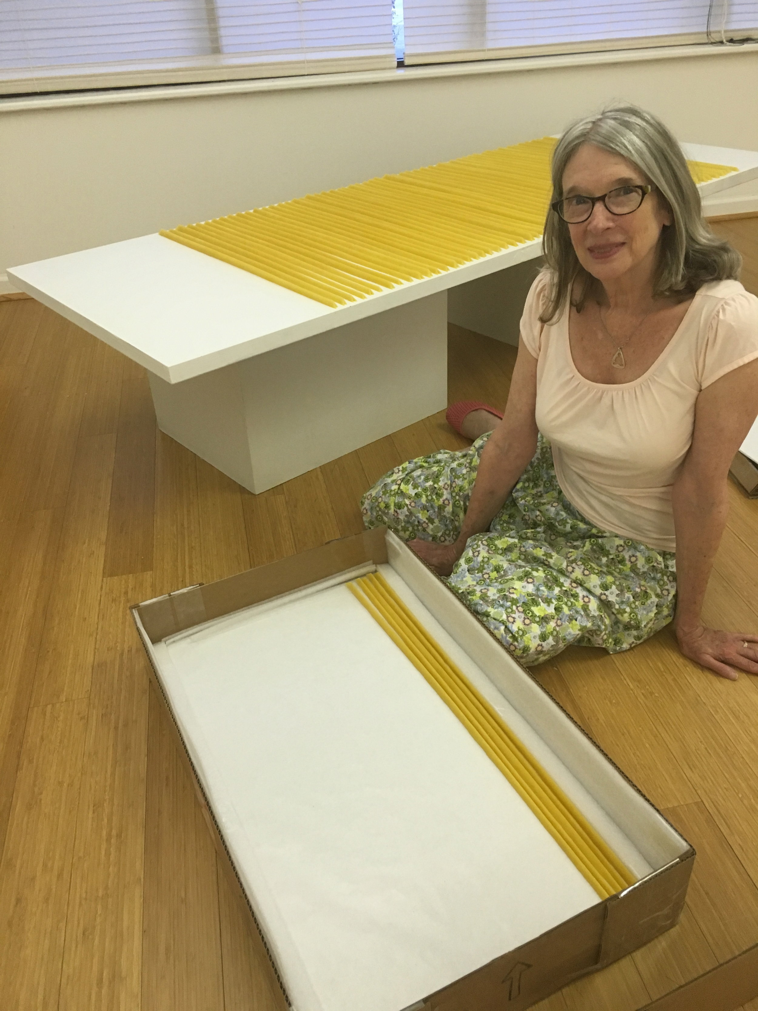 Debora McLeod, Collaborating Curator for " A Consideration of Bees, " a pre-showing of the Living Hive parts in Charlottesville Virginia, Summer 2016.