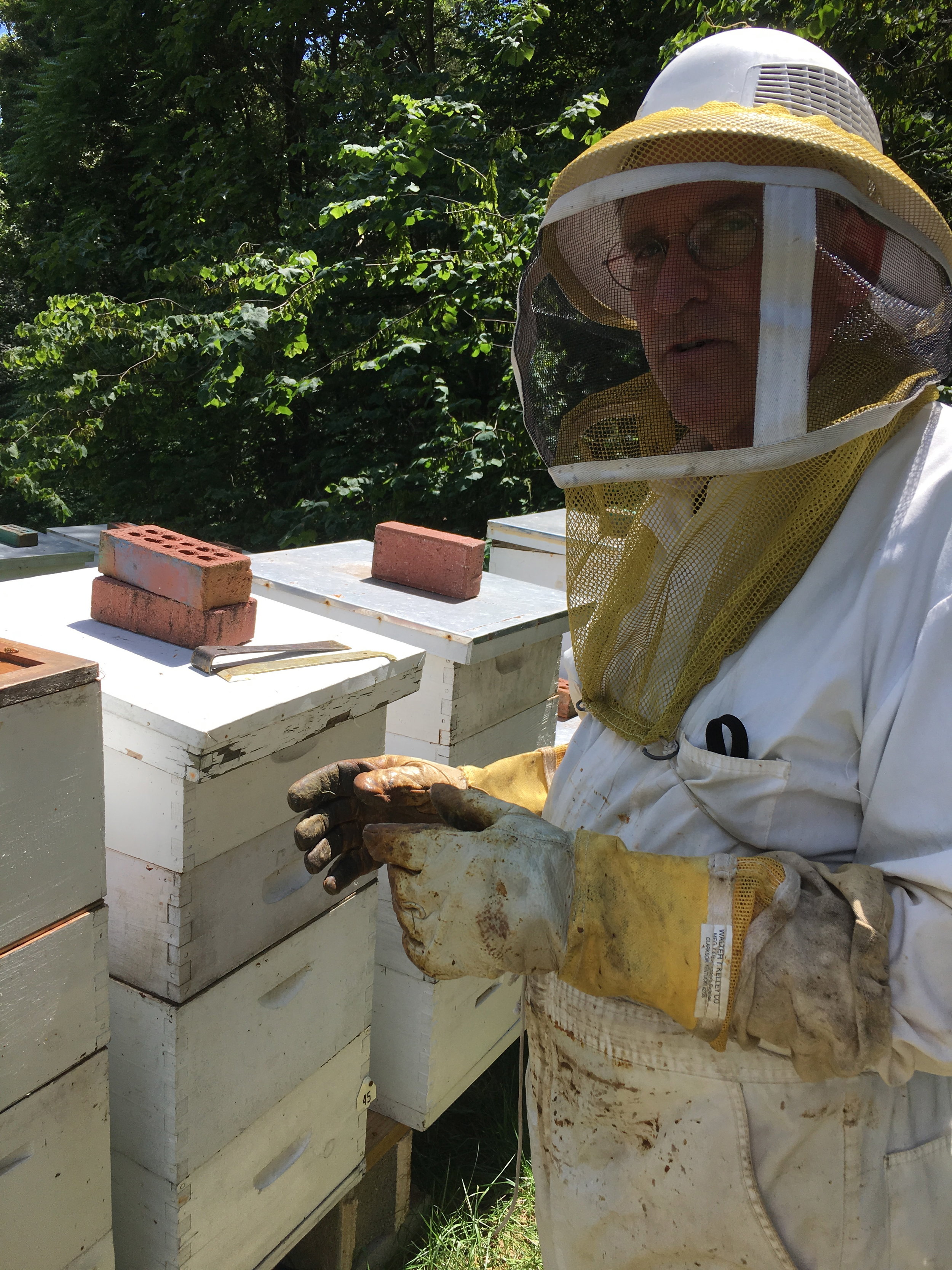 Roger Williams, (Former President of the CMBA) Collaborating Culpeper Apiary.