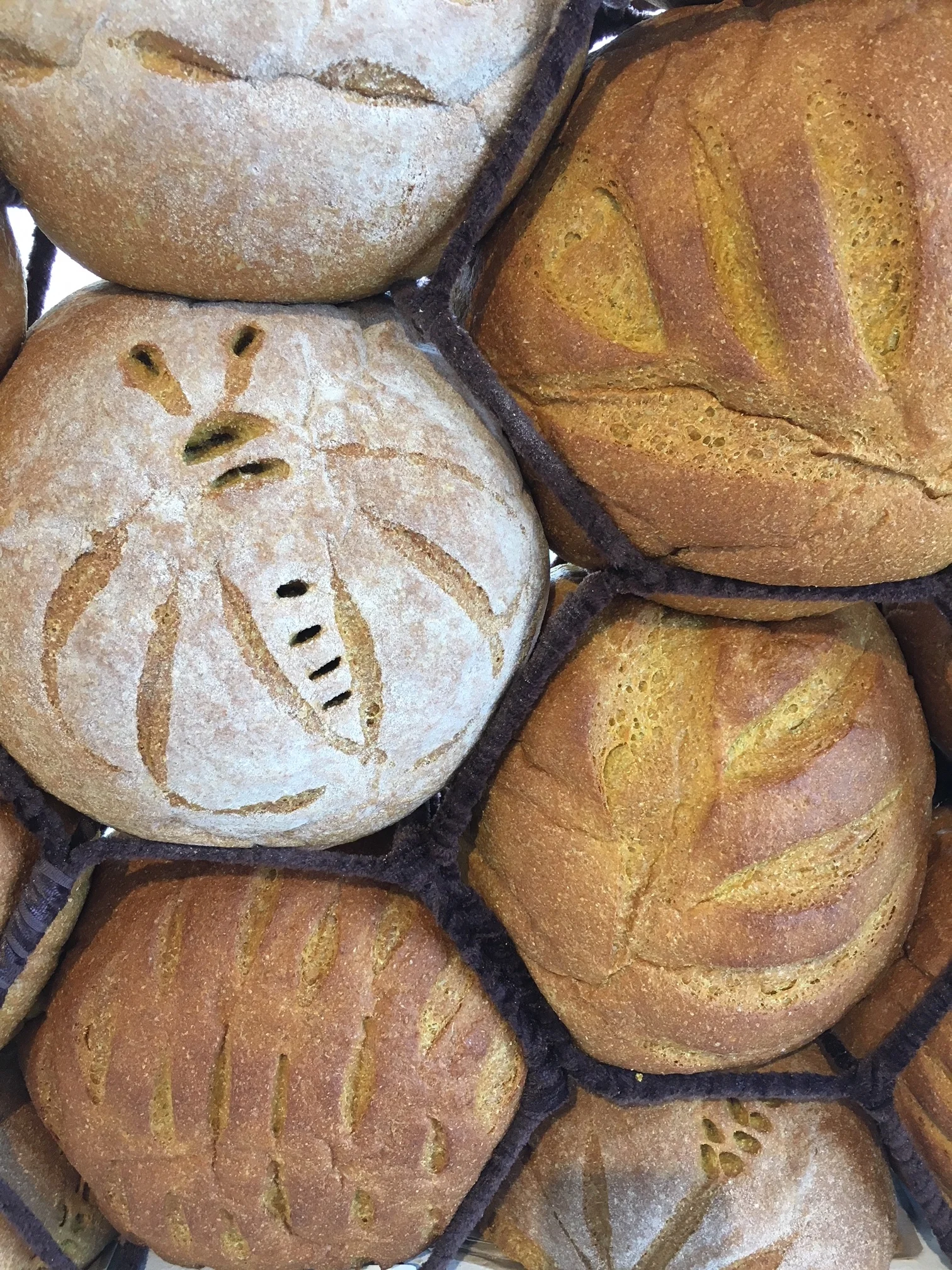Bread Wall - a hexagon framed installation, 2018