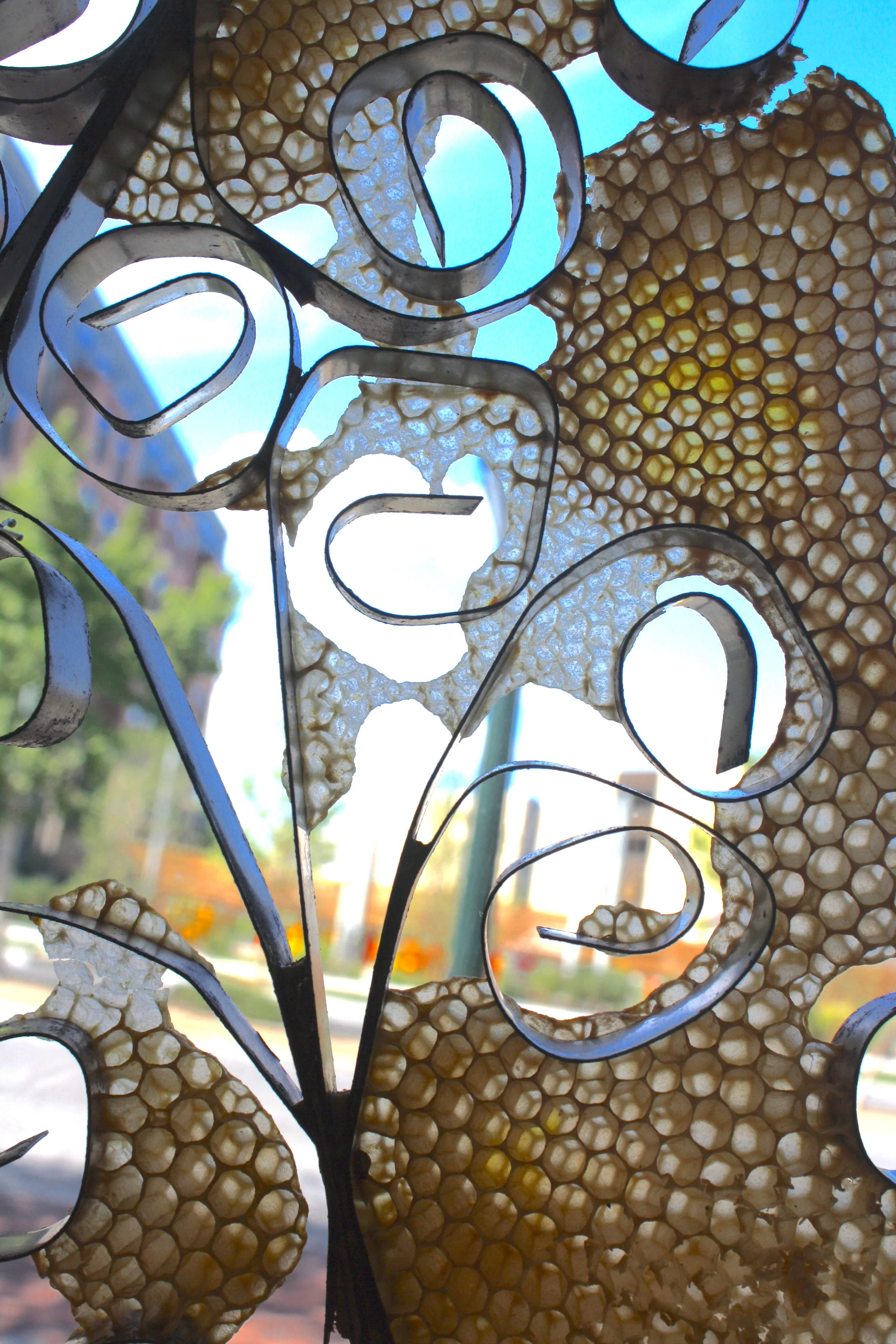 Contributions for the installation by the artists own apiary.