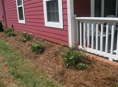 One of our goals at ATCEDC is to develop our affordable rental product in such a way that no casual bystander would immediately identify our houses as “rental property." Quality landscaping helps us accomplish this goal!