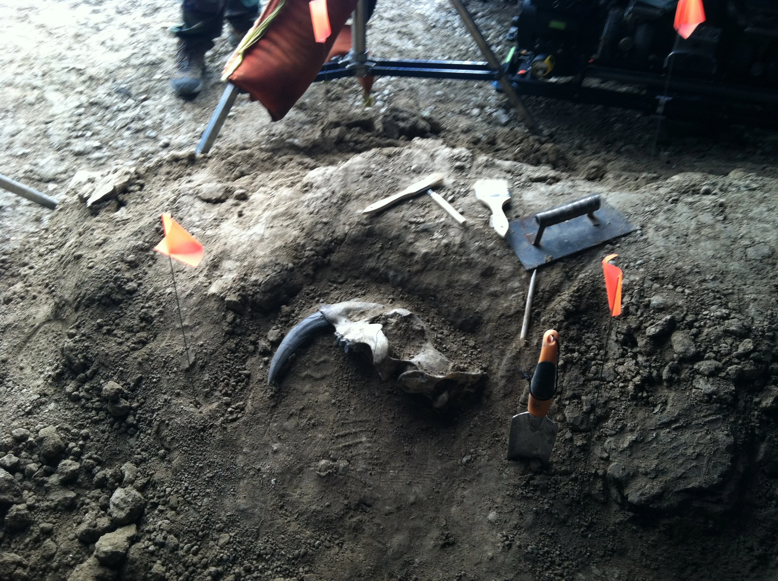 Set Decorator/On-Set Dresser