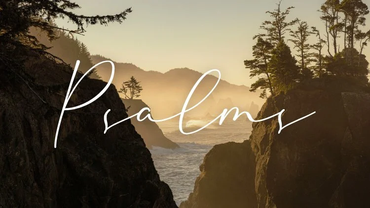 Psalms Project Web Button.jpg
