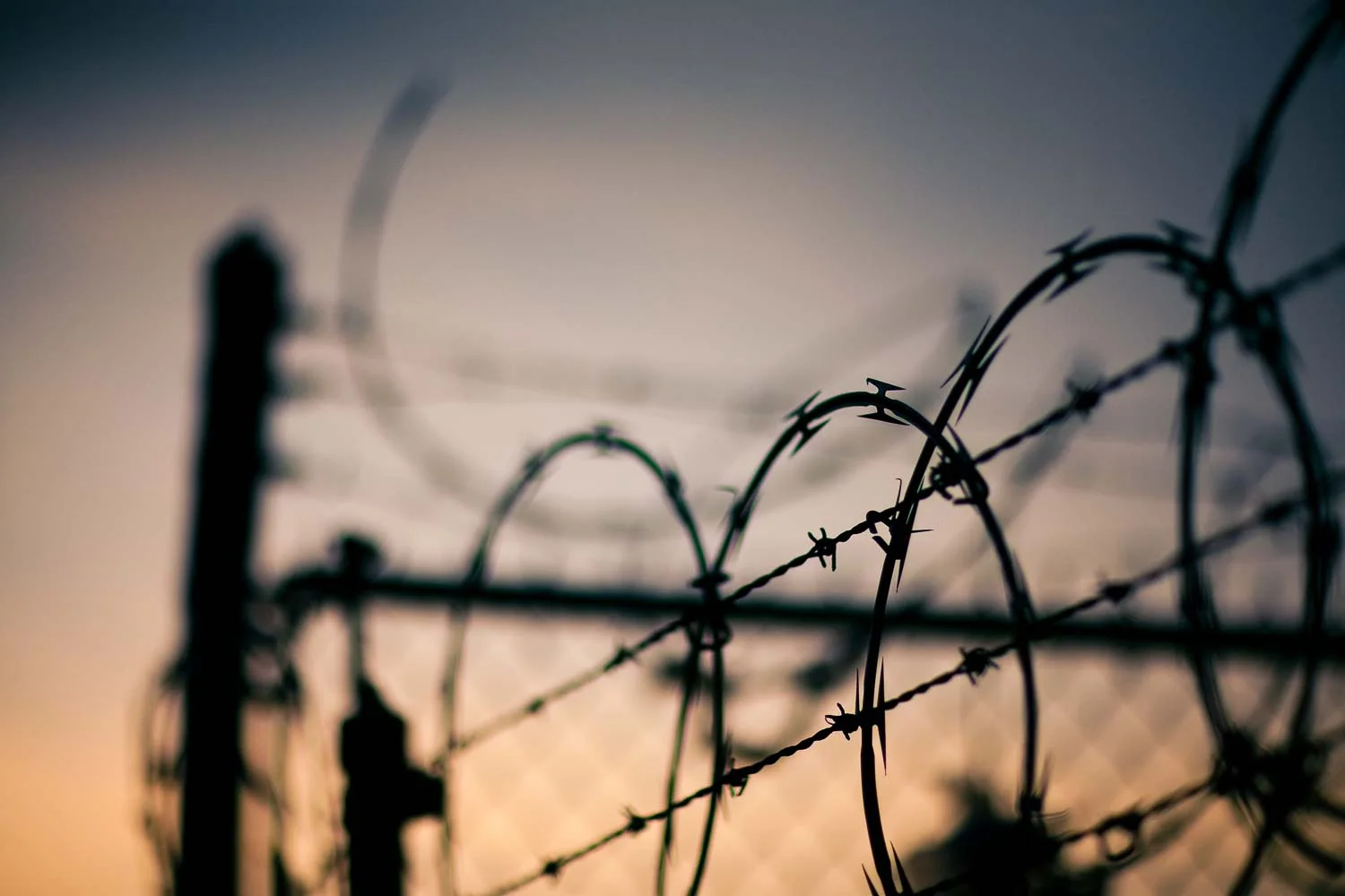 Held Prisoner by File Formats