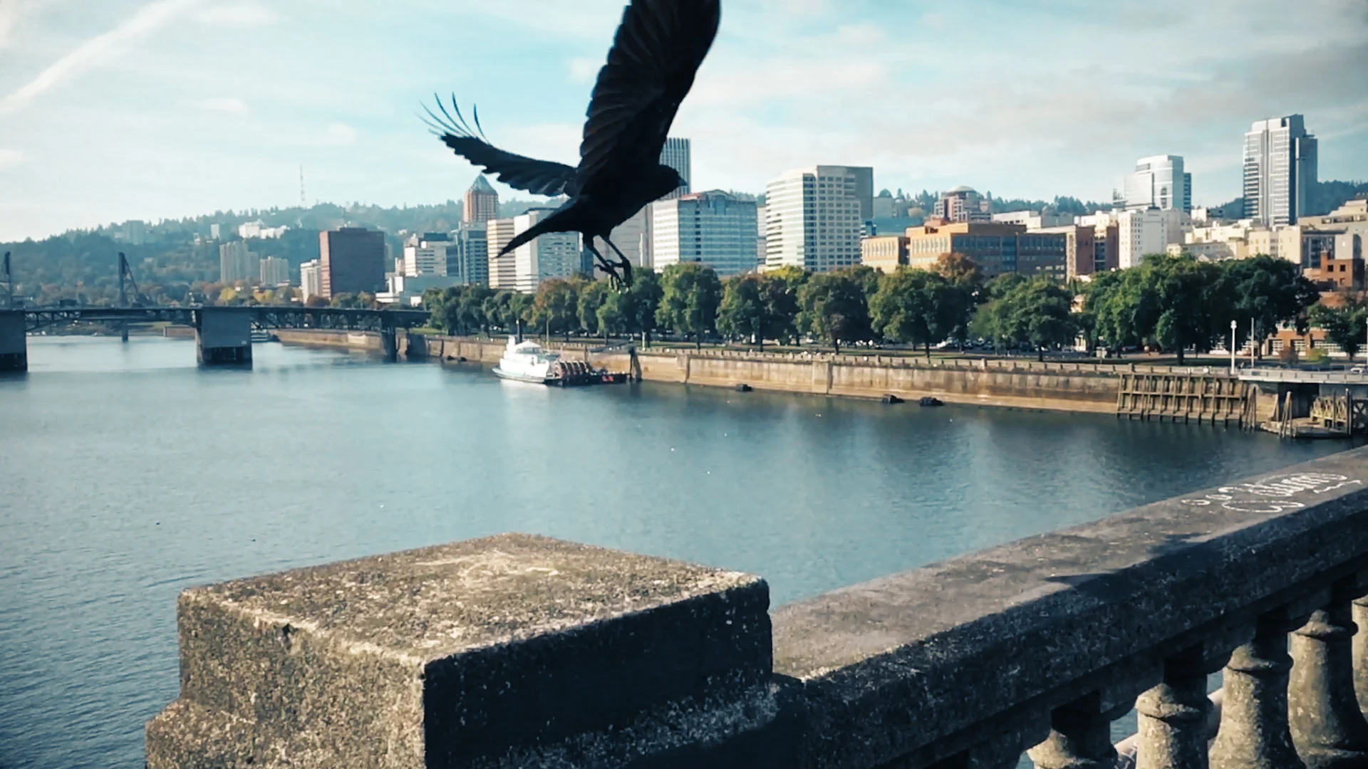 Introducing Prolost Speedramp