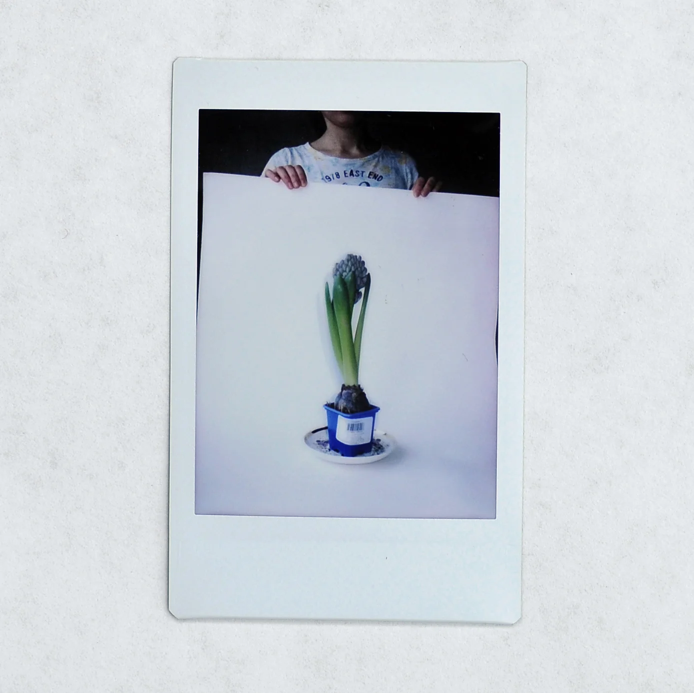 "Flowers for My Beloved"