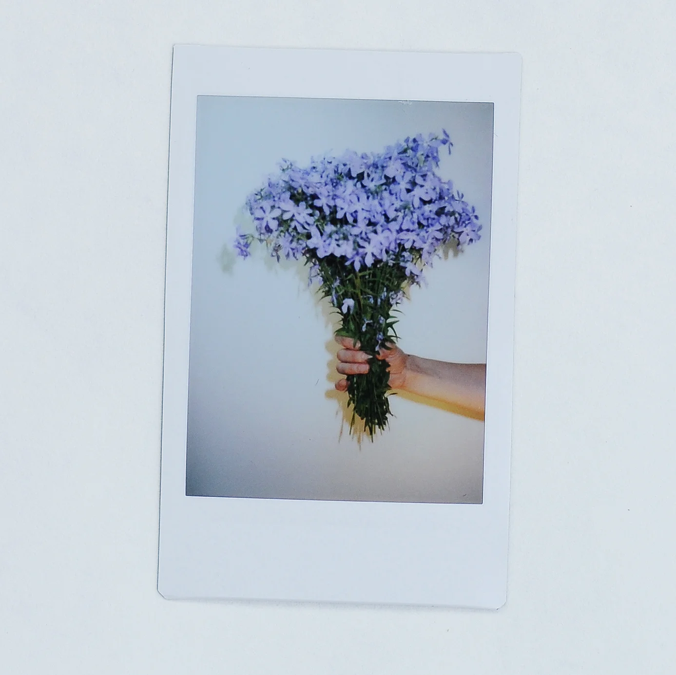 "Flowers for My Beloved"