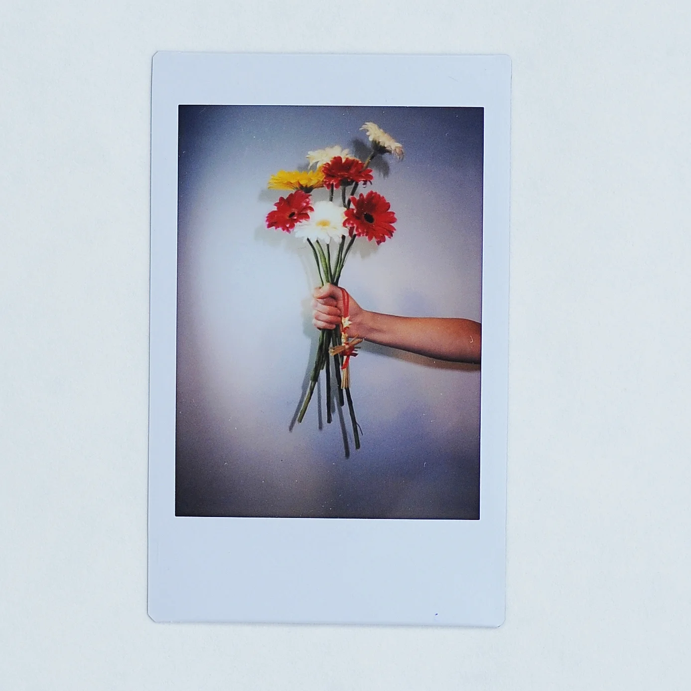 "Flowers for My Beloved"