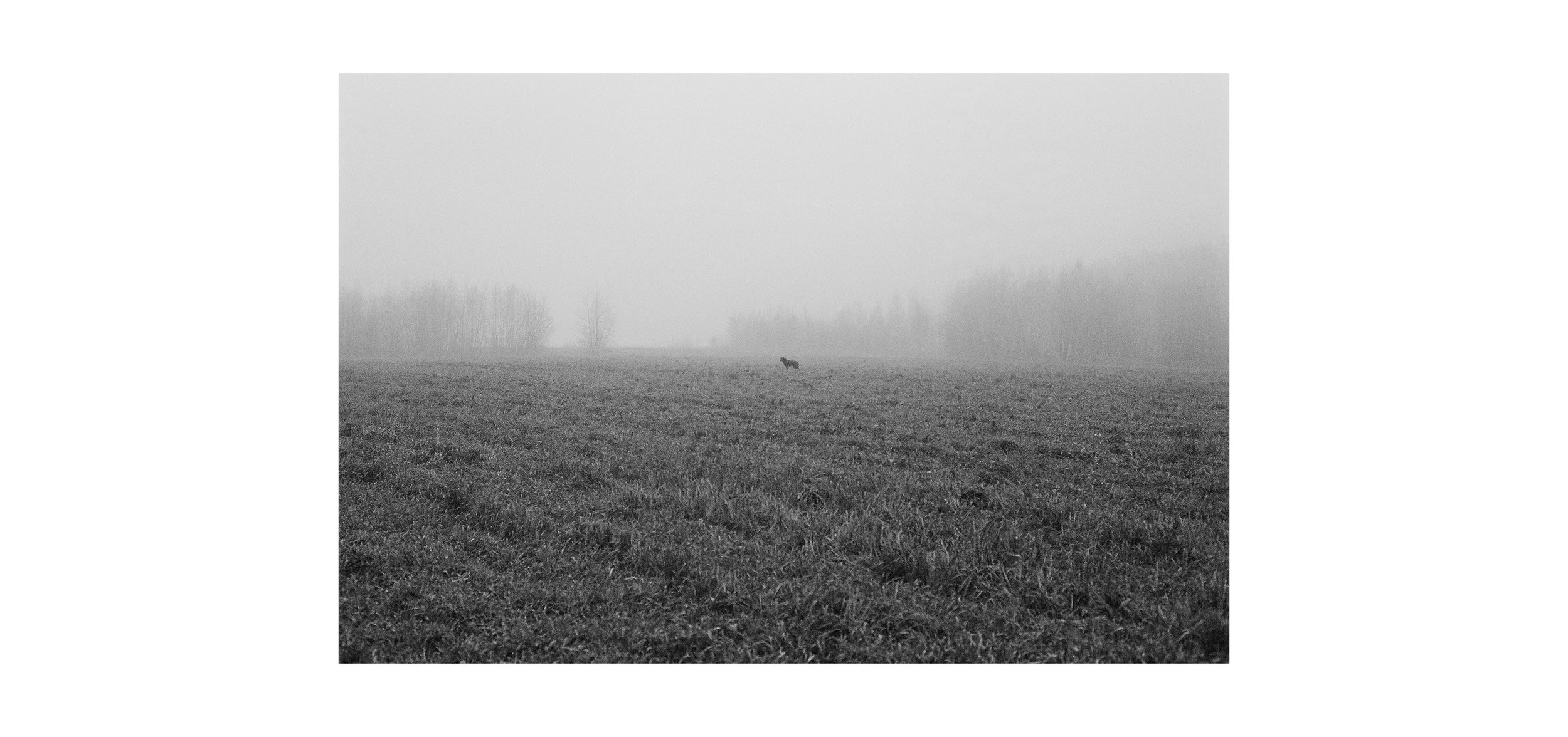 12_Hilitski_SAD_05 - Я _ #12 _ small.jpg