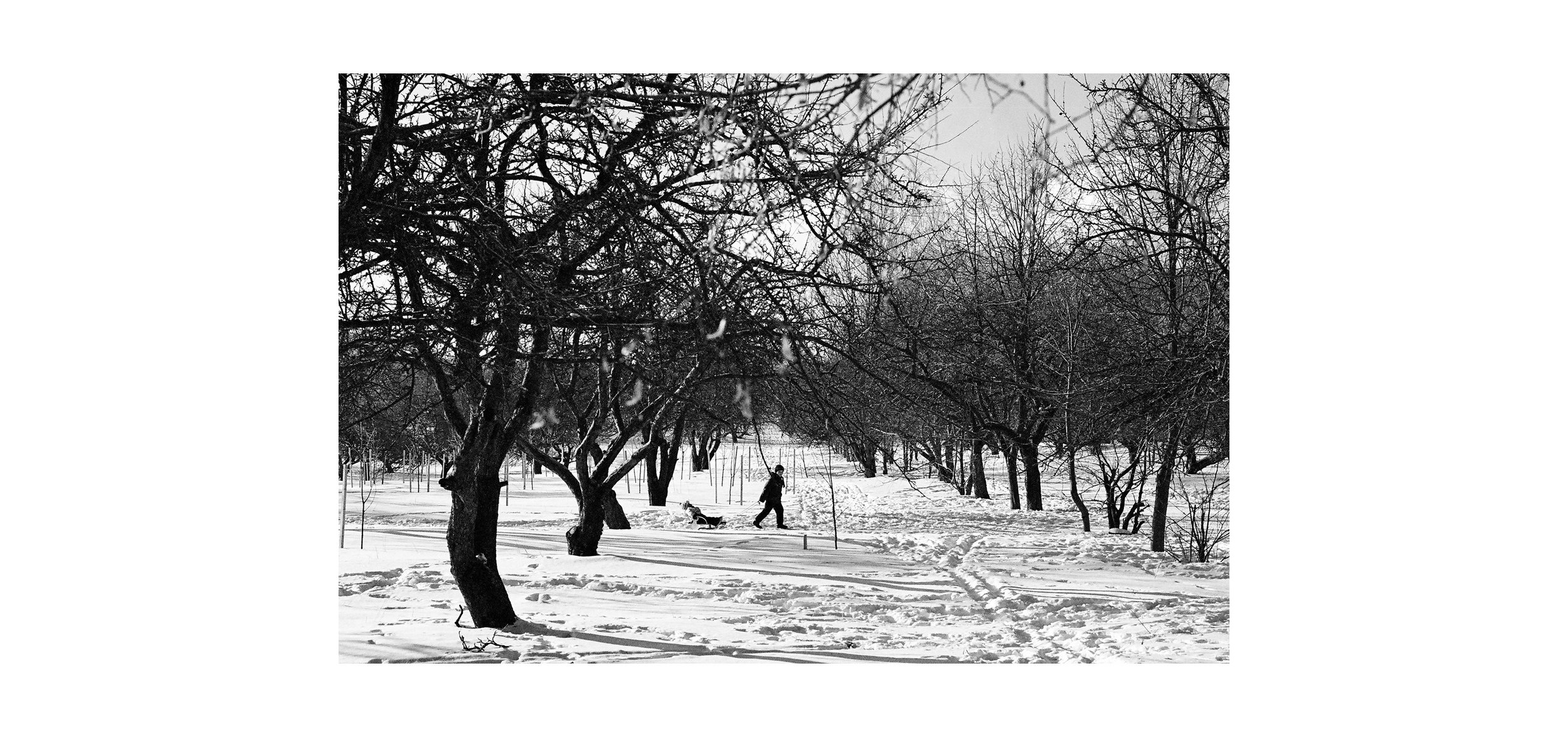 Hilitski_SAD_19 - под вопросом_2 _ #16_6_small.jpg