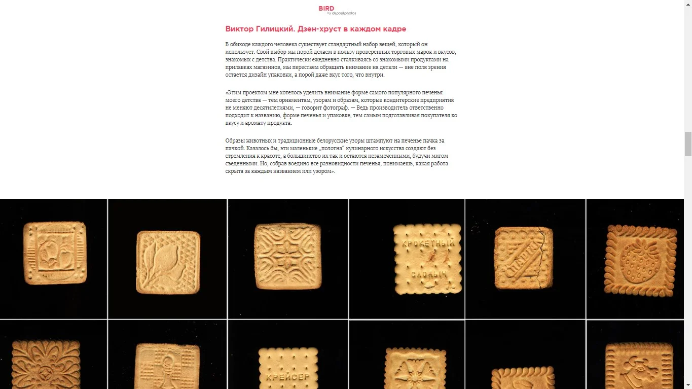 Project "Cookies" as part of a big article at the "Bird In Flight" - online magazine about visual culture ( 2017, in russian).