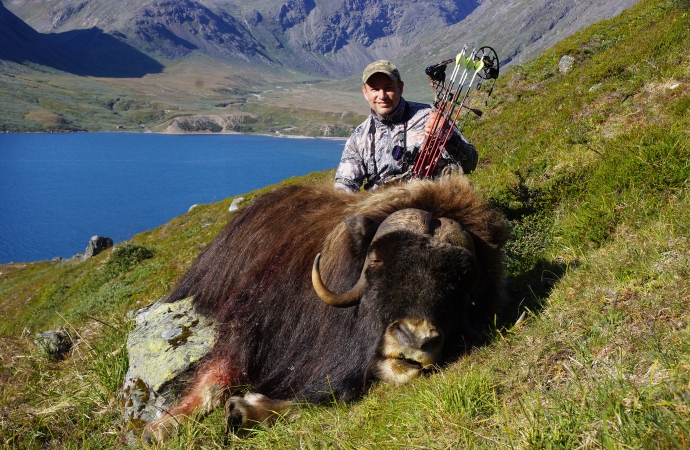 Pat-Lefemine-Muskox-cropresize-690x450.jpg