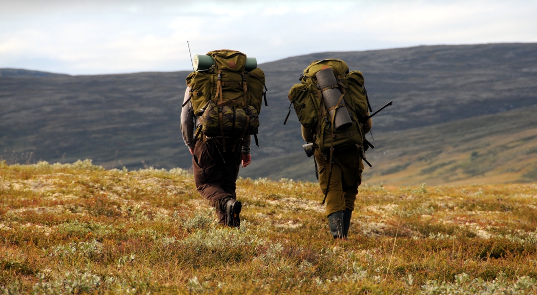 Chasse au caribou