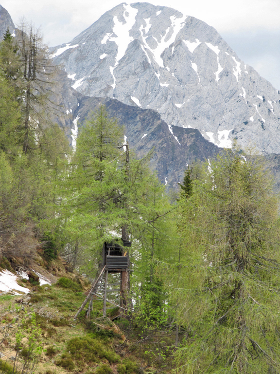 Mirador sur le territoire