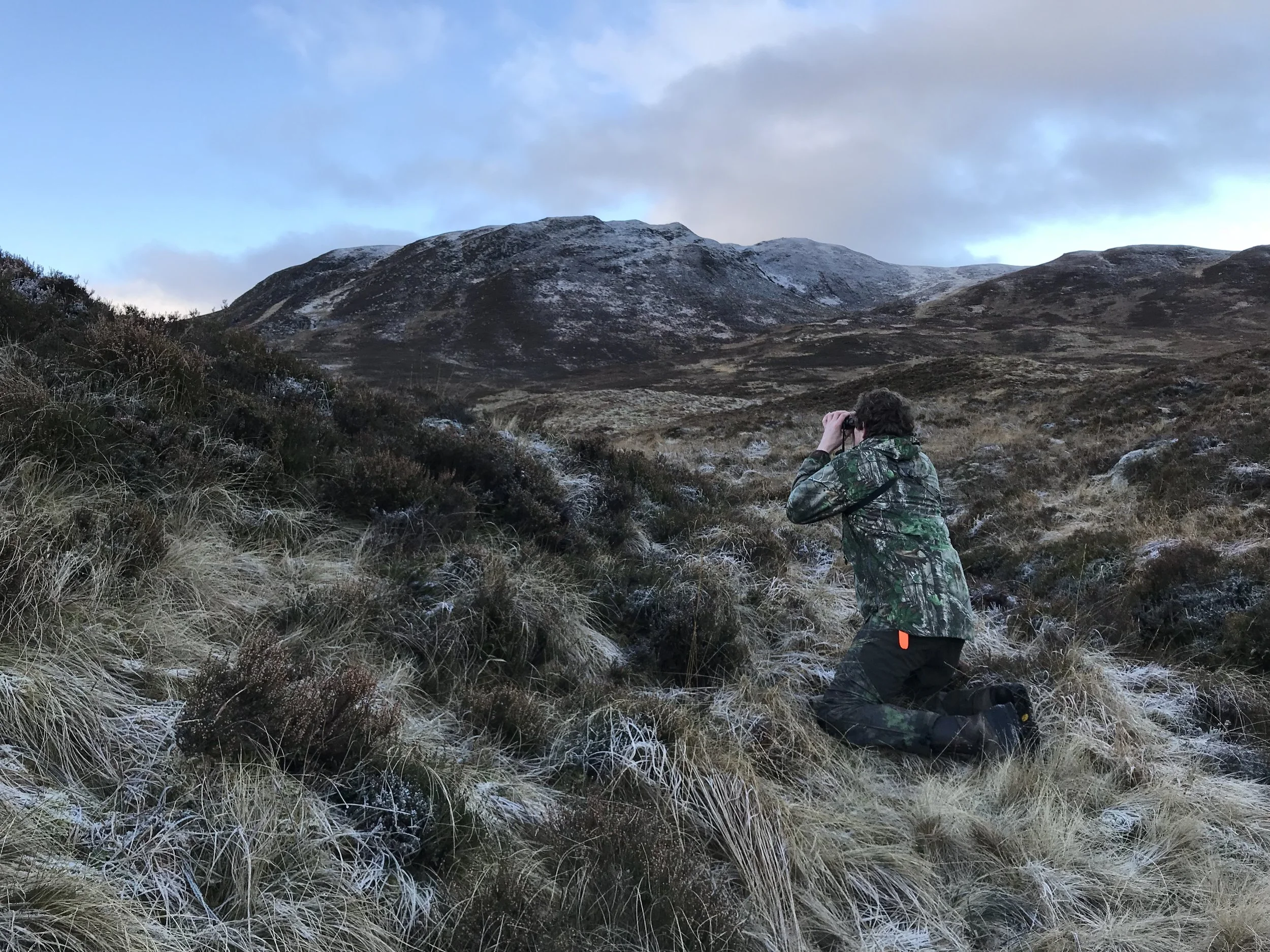 Chasse aux biches et faons en Ecosse