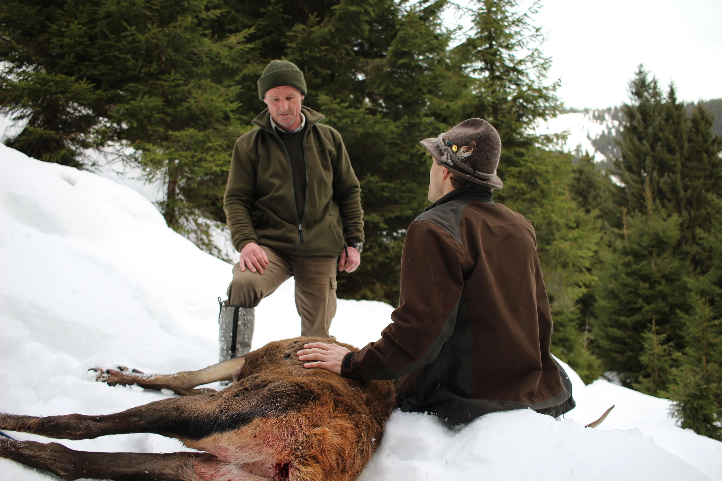 Chasse en Autriche au cerf