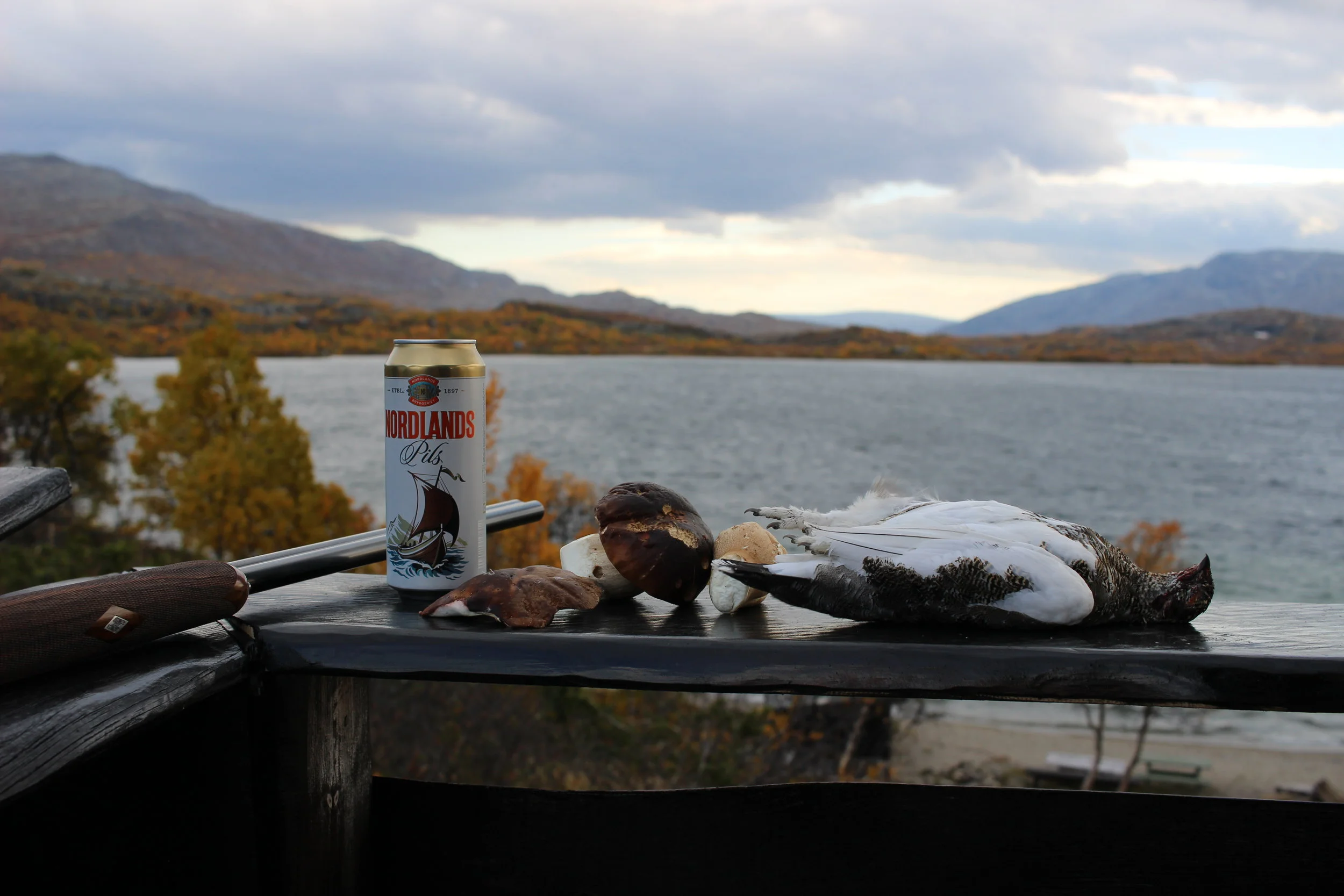Chasse en Norvège
