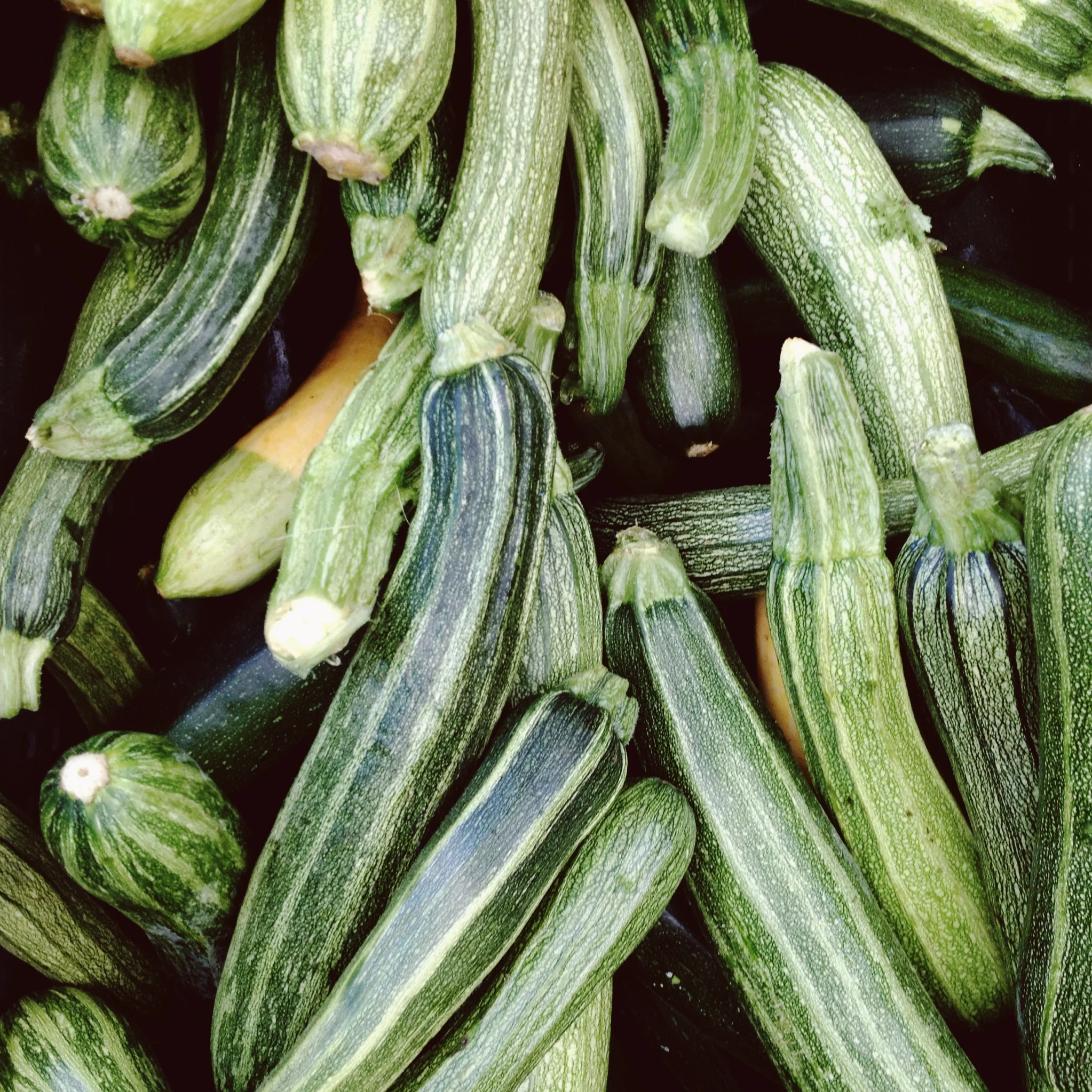 I love all forms of stripes. Even on vegetables.