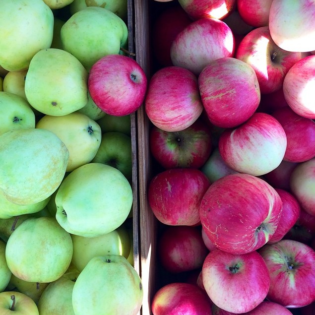 Apples by @ashkash123