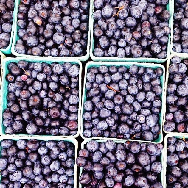 Blueberries by @clairebusler