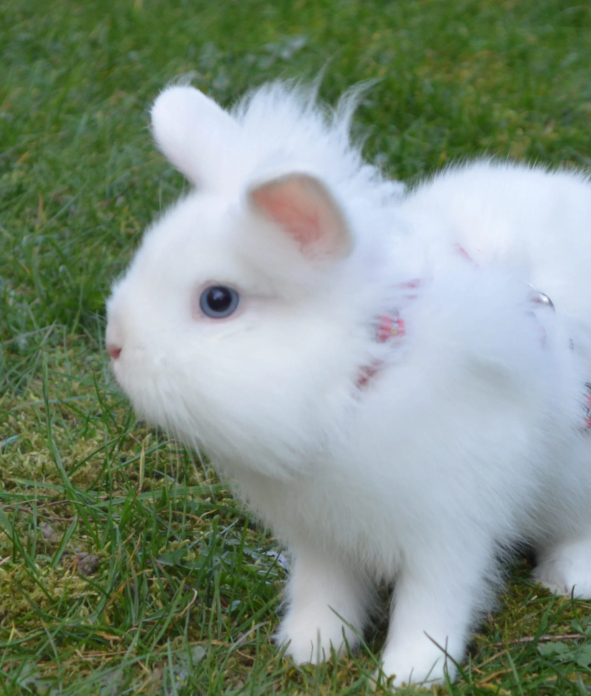 Foto venligst udlånt af Kathrine Kock Jonsson